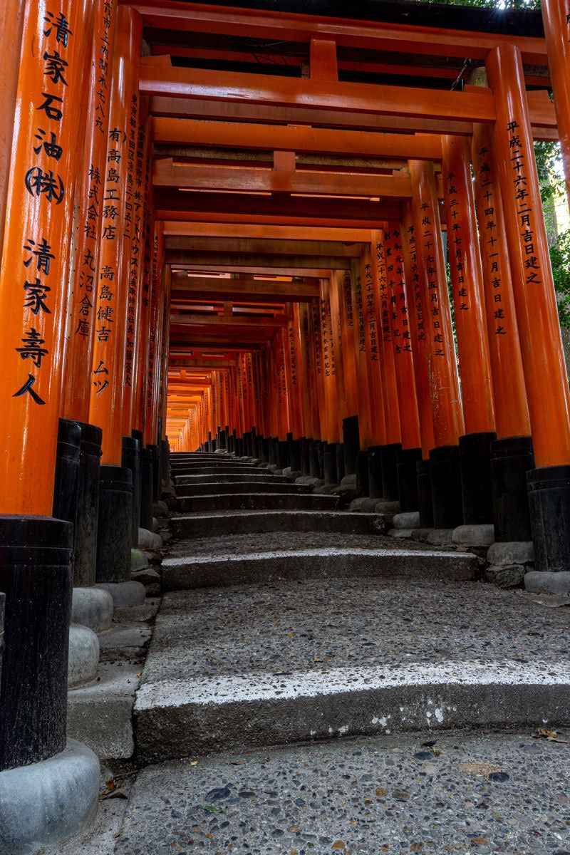 階段の先がほのかに明るい鳥居が続く道の写真