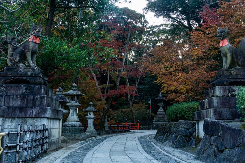 それぞれ鍵と玉を咥えた狛狐の立つ石畳を彩る紅葉の写真