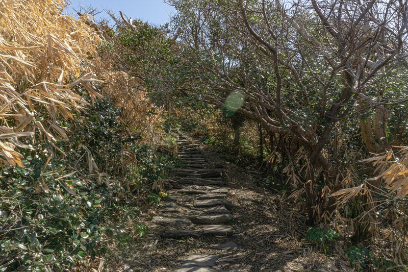 雄島を周回する遊歩道の緩やかな階段の写真