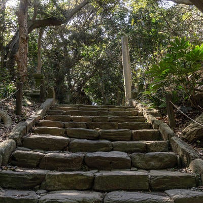 大湊神社境内へと向かう流紋岩が使われた石段の写真