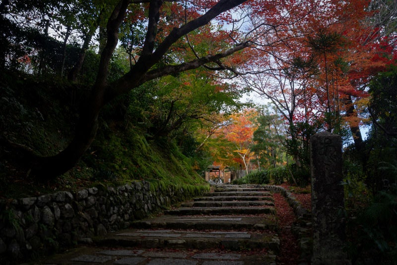 あだしの念仏寺の石碑が建つ参道入り口の写真