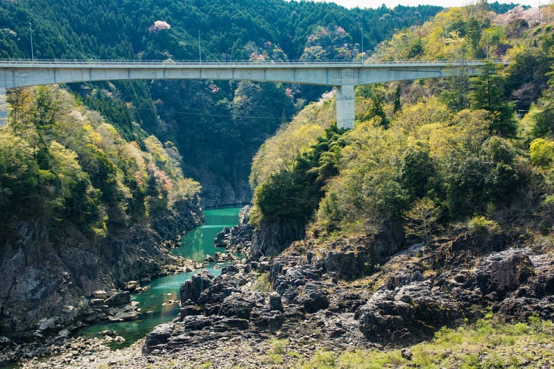 ゴツゴツした岩の景観が広がる新小和沢橋下の眺め（岐阜県）の写真