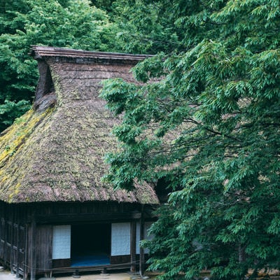 公園の森の中にある茅葺屋根の家の写真