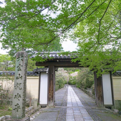 青紅葉の龍安寺総門とまっすぐに伸びる石畳の参道の写真