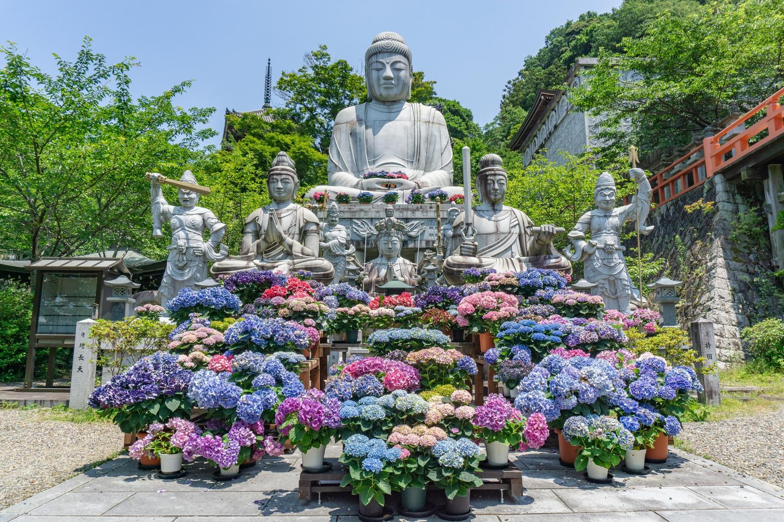 「見事に咲き誇る紫陽花と御前立ての石仏の背後に座す台座も含めれば身丈15ｍになる壷阪寺の大釈迦如来石像」の写真