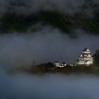 雲海の上に浮かぶ郡上八幡城の写真