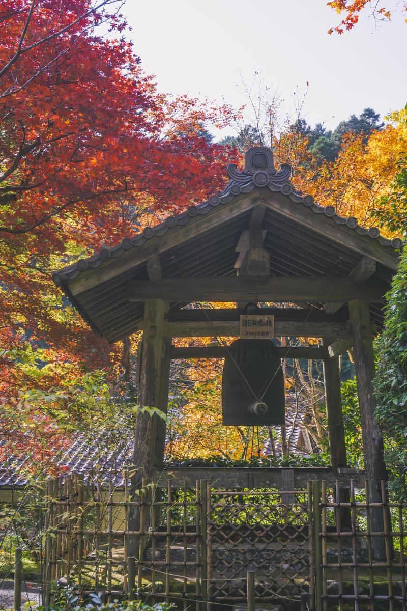 「色とりどりに紅葉した木々と諸行無常の鐘楼」の写真