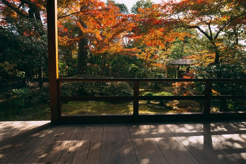 濡れ縁の先に広がる秋の露地庭の写真