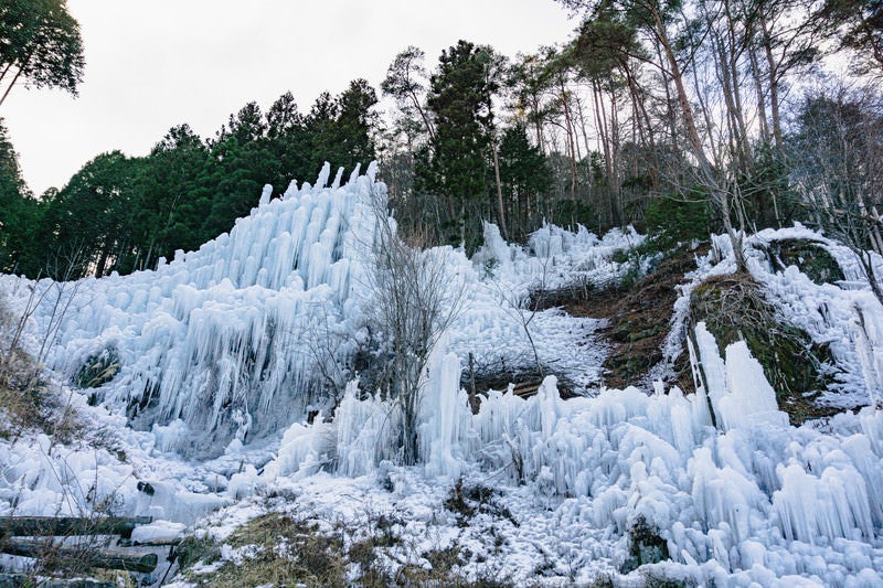 小さな湧き水から斜面一杯にまで作られた氷瀑（湧水公園）の写真