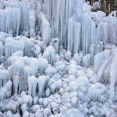 近くの木の枝も取り込み広がっていく氷の世界の写真