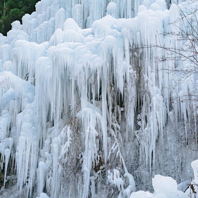 鋭くとがった湧水公園の氷柱の写真