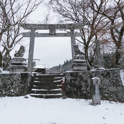 雪の積もる八幡神社の石段と雪をかぶる狛犬と鳥居の写真