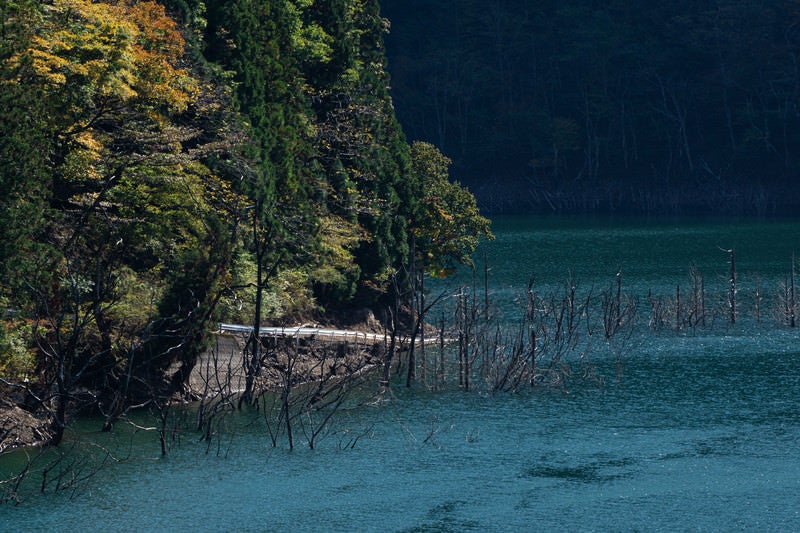 沈んだ村へと続く徳山湖畔に見えるガードレールの写真