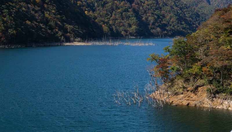 風で細かく波立つ秋の徳山湖湖面の写真