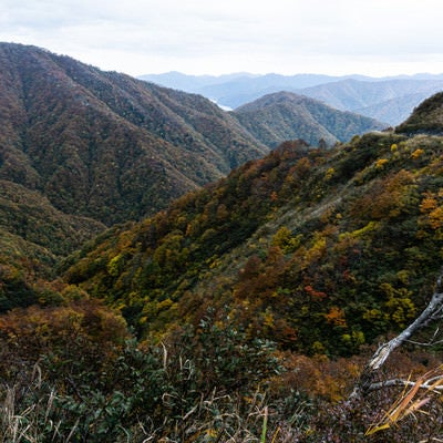 紅葉の山並みと、その奥に見える徳山湖の写真