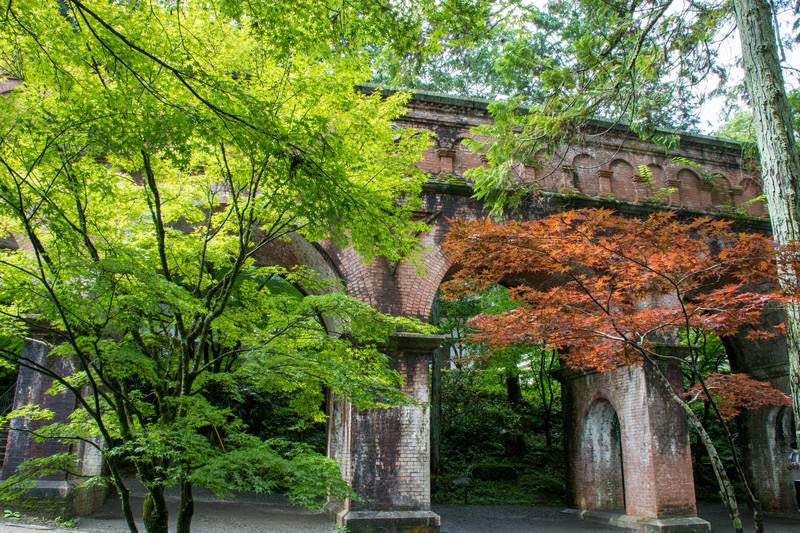 青紅葉と赤紅葉と赤茶色の水路閣の写真