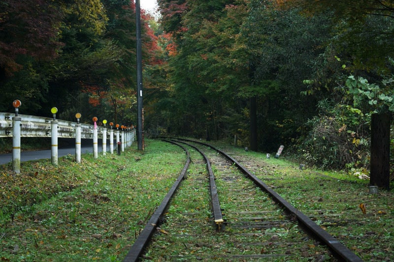 森の中へと続く道路沿いの廃線の写真