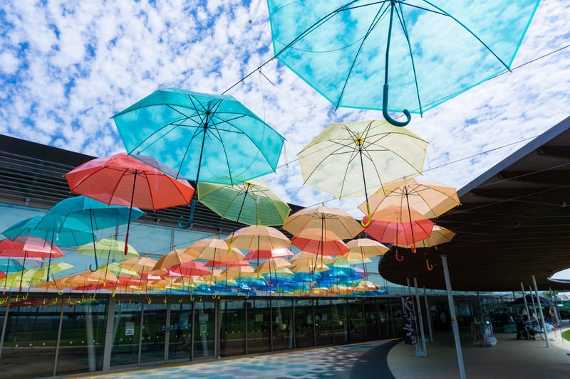 梅雨の晴れ間の綺麗な空を背に風に踊るアンブレラスカイの写真