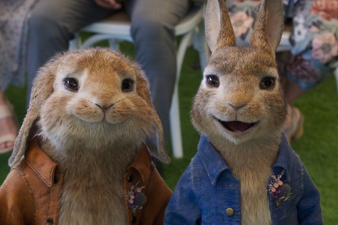 Peter Rabbit 2