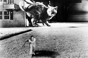 THE INCREDIBLE SHRINKING MAN, Grant Williams, 1957