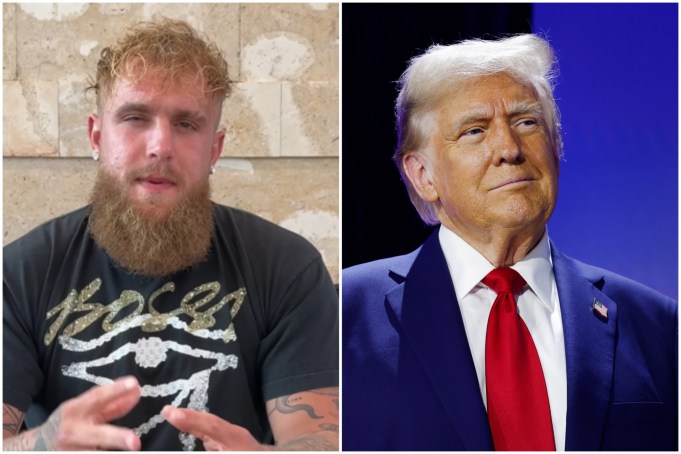 Jake Paul - Donald Trump