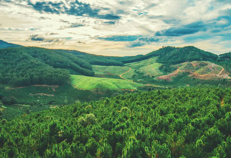 majestic view of mountains and valley