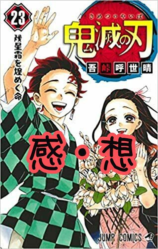 鬼滅の刃23巻読破！未回収の伏線けっこうあるよね（ネタバレあり）