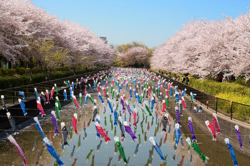 tatebayashikoinobori