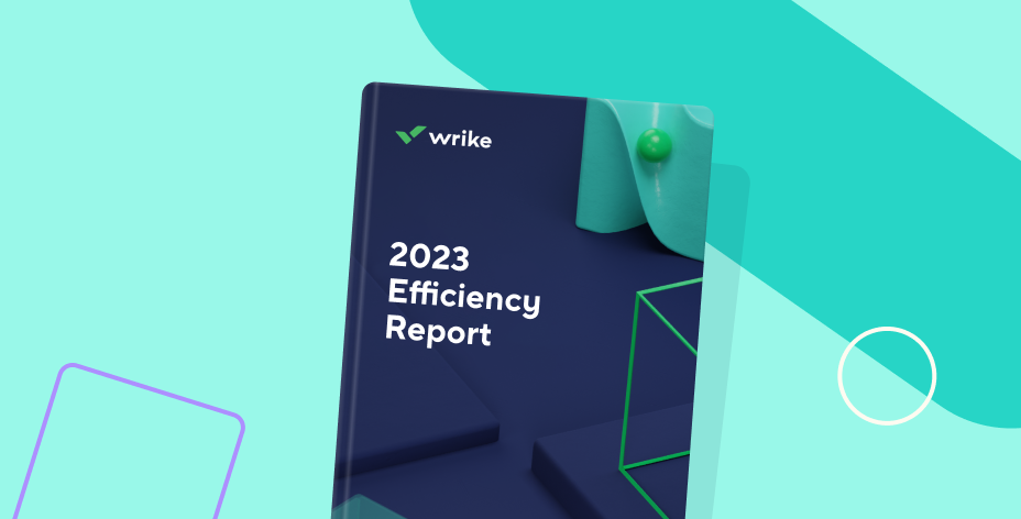 2023 Efficiency Report