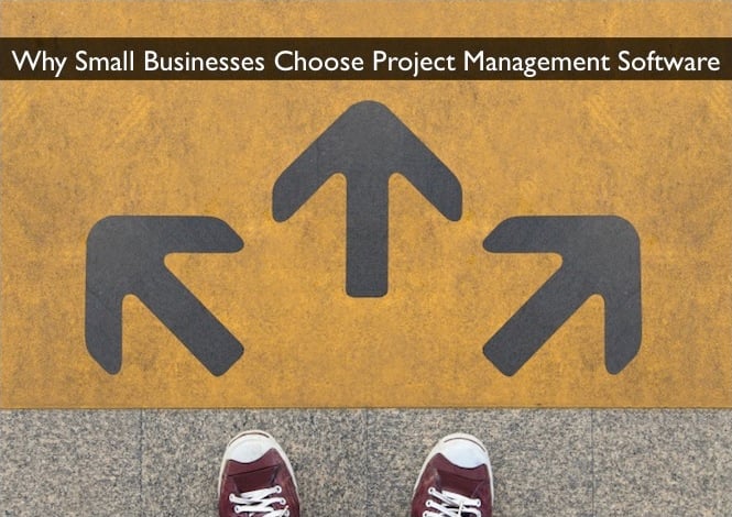 Why (and How) a Small Business Chooses Project Management Software