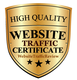 website traffic review