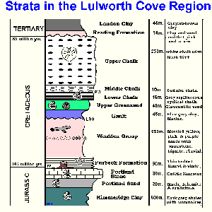 Strata of the Lulworth Cove Region