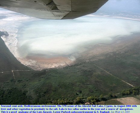 The Akrotiri Salt Lake, Cyprus, in August 2004 when precipitating salt; the environment is a small-scale analogue for the Late Jurassic, Purbeck palaeoenvironment. Edited image