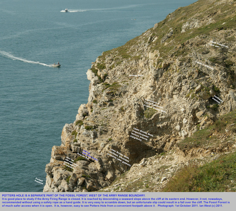 The Soft Cap and Broken Beds at Potters Hole, a westward ledge similar to the Fossil Forest ledge, east of Lulworth Cove, Dorset, 2011