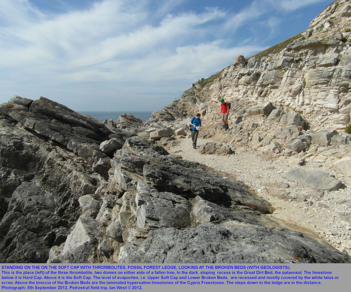 The Broken Beds at the Fossil Forest ledge, east of Lulworth Cove, Dorset, seen in relationship to basal Purbeck strata, Lulworth Formation, above and below, 8th September 2012