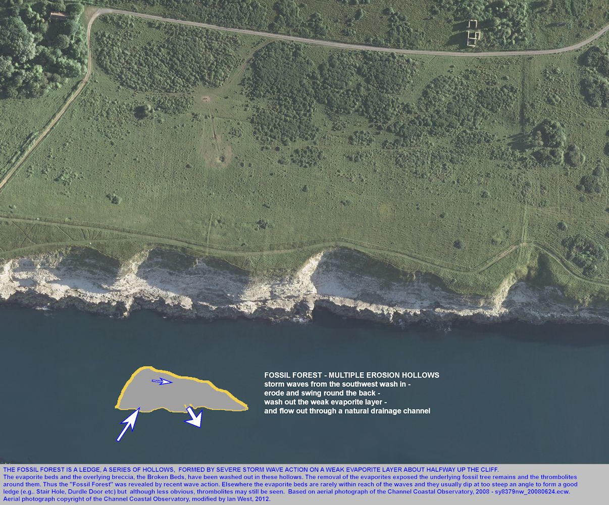 Process of storm sea erosion at the Fossil Forest ledge, east of Lulworth Cove, Dorset