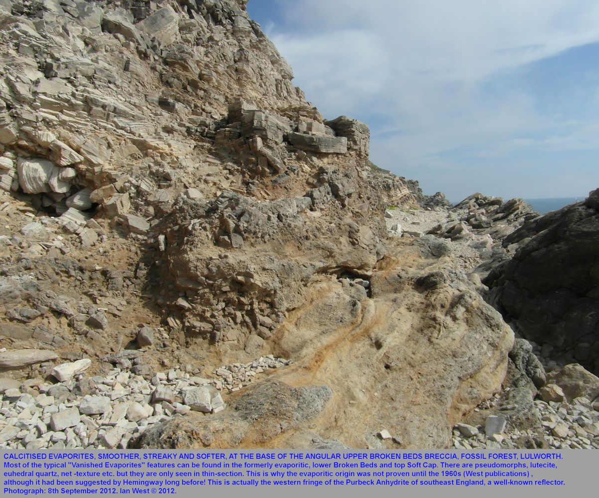 The soft lower Broken Beds of evaporitic origin beneath the upper Broken Beds of angular limestone fragments, basal Purbeck Group, Fossil Forest ledge, east of Lulworth Cove, Dorset, 8th September 2012