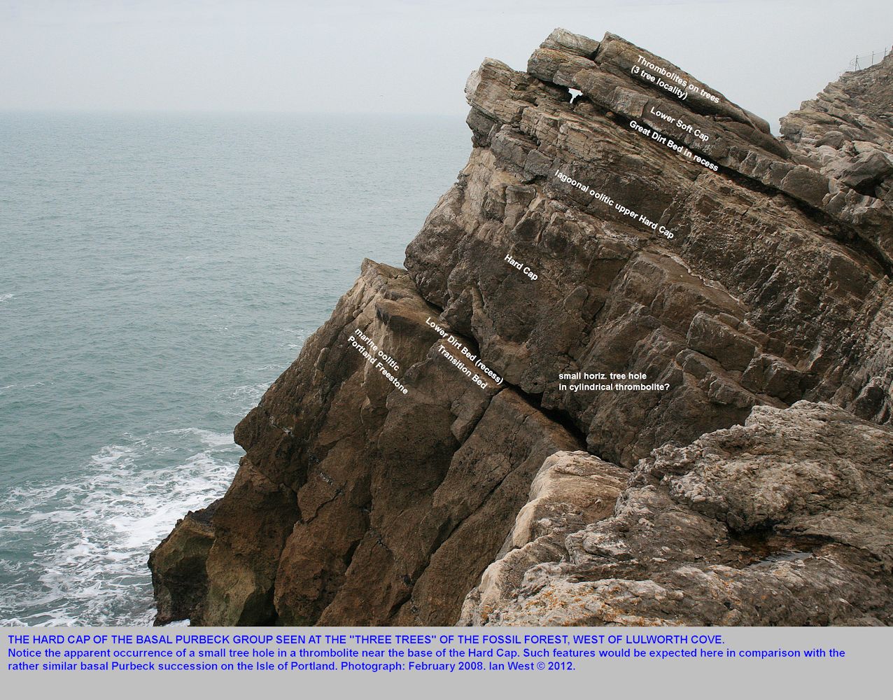 The Hard Cap, basal Purbeck Group, with a probable tree hole, at the Fossil Forest ledge, east of Lulworth Cove, Dorset, February 2008