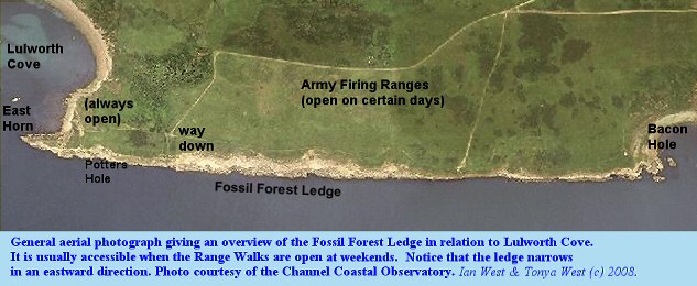 An aerial photograph showing the general location of the Fossil Forest Ledge, to the east of Lulworth Cove, Dorset