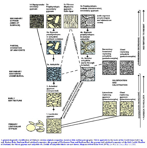 A general diagenetic classification of the Purbeck calcium sulphate evaporites of Dorset and Sussex, based on thin-section petrography