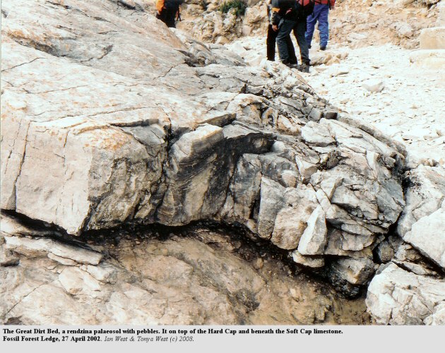 The Great Dirt Bed, under the Soft Cap, at the Fossil Forest Ledge, east of Lulworth Cove, Dorset, 2002