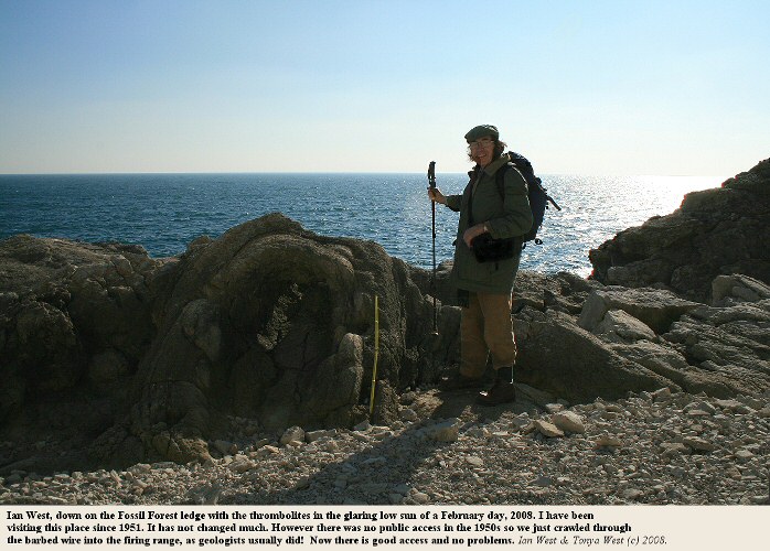 Ian West at the Fossil Forest ledge with thrombolites, east of Lulworth Cove, Dorset, 2008