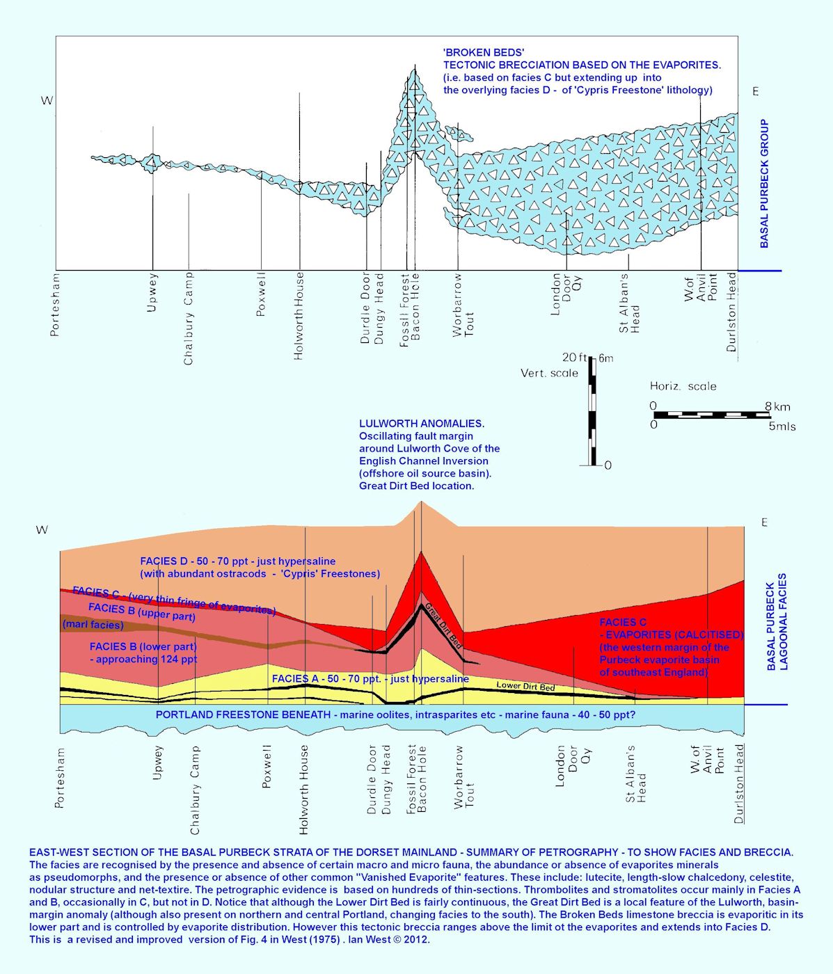 Revised diagram showing petrographic facies and inferred palaeosalinity for basal Purbeck evaporites and associated basal Purbeck strata, including the Broken Beds breccia, Dorset