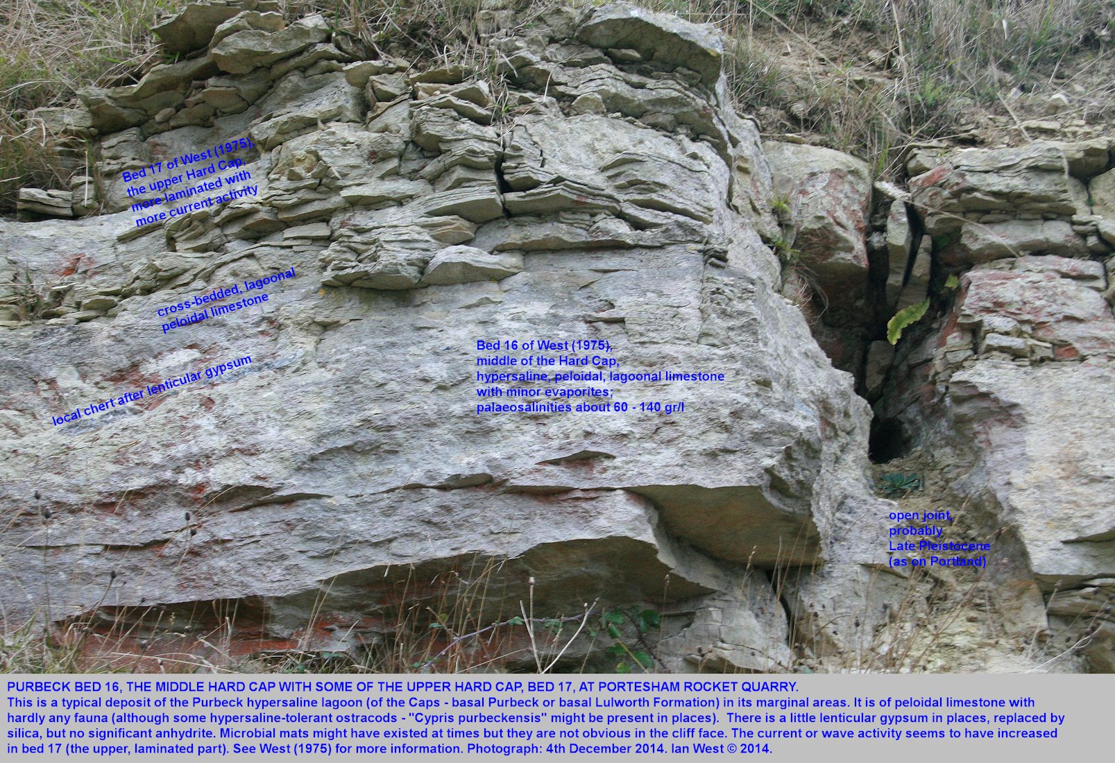 Cross-bedding and other features of the Hard Cap, Basal Purbeck (Basal Lulworth Formation) at Portesham Quarry, Dorset, 4th December 2014