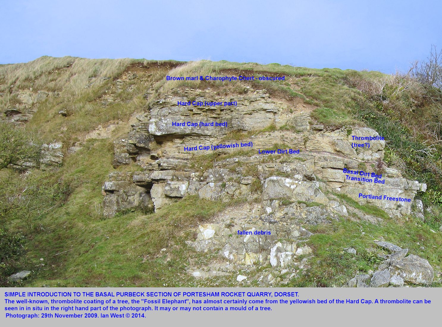 A general and introductory view of the basal Purbeck sequence exposed at Portesham Quarry, Dorset, in November 2009