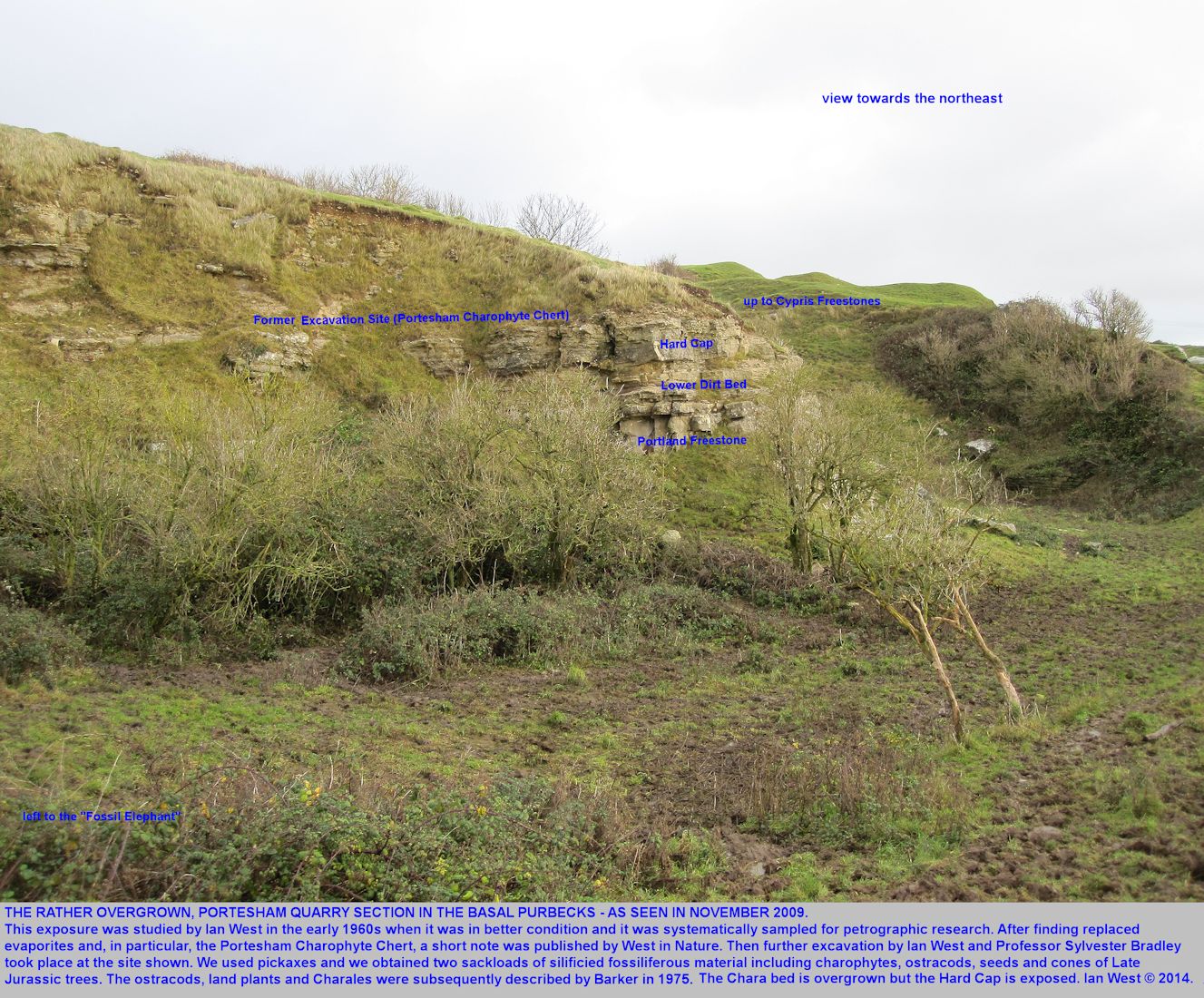 A broad introductory view of Portesham Quarry, Dorset, in Portland and Purbeck strata, as seen in November 2009, when much degraded and grassed over