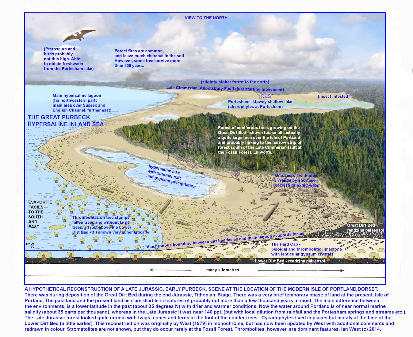 A diagrammatic reconstruction of a Dorset scene in early Purbeck (late Jurassic) times, based partly on data from Portesham Quarry, Dorset, Ian West, 2014