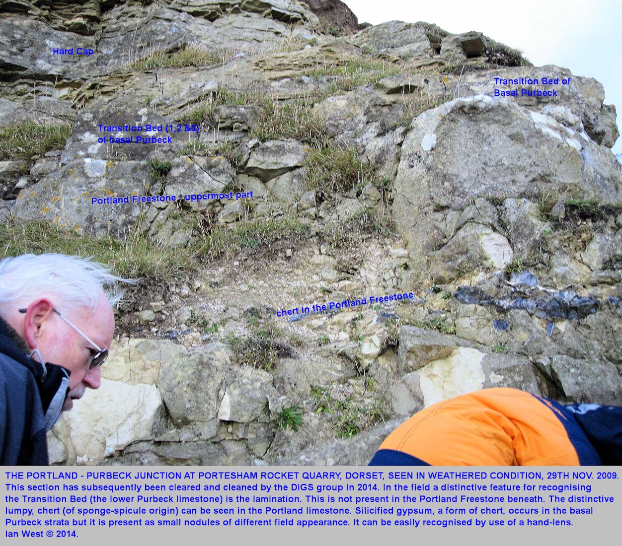 The top of the Portland Freestone and the base of the Purbeck (Lulworth Formation) strata seen in Portesham Quarry, Dorset, in 2009