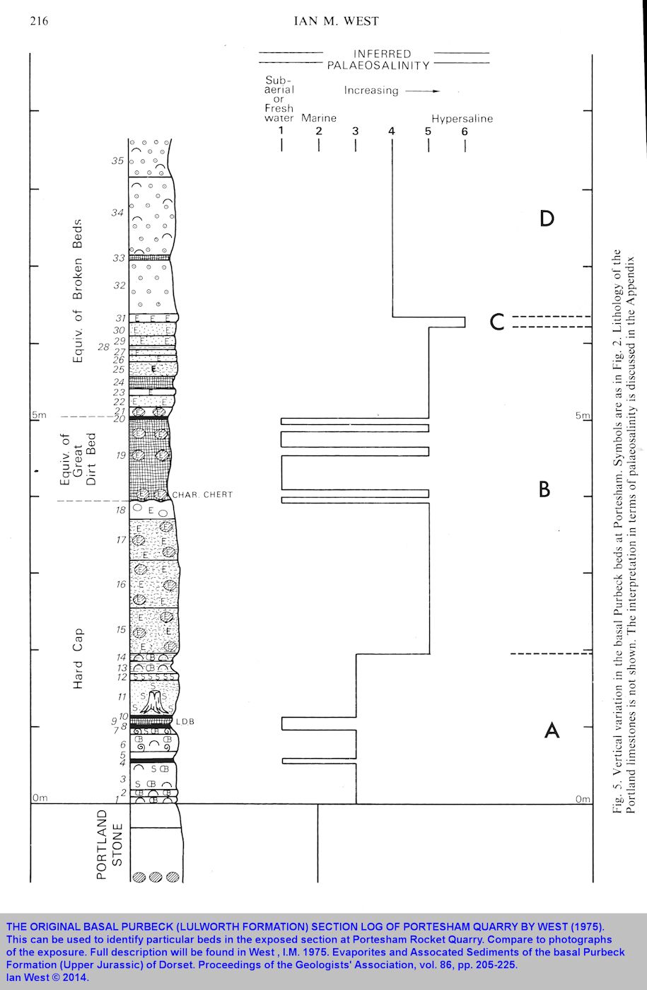 Graphic log of the basal Purbeck (Lulworth Formation) strata at Portesham Rocket Quarry, Dorset, original version - 1975, 2014