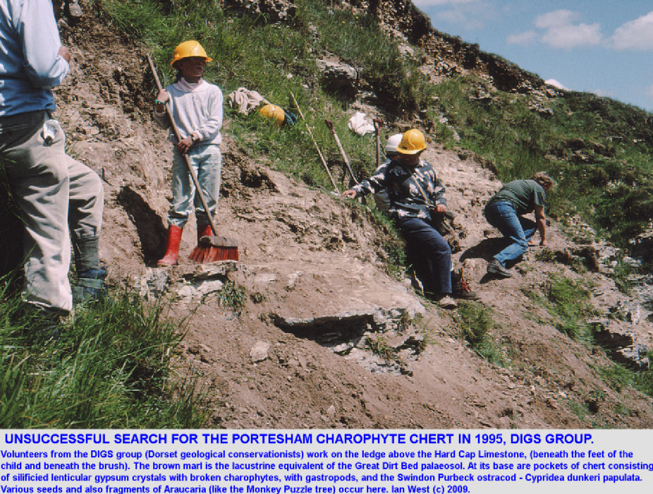 Excavation of the overlying marl in an attempt to expose the Portesham Charophyte Chert at Portesham Rocket Quarry, Dorset, in 1995